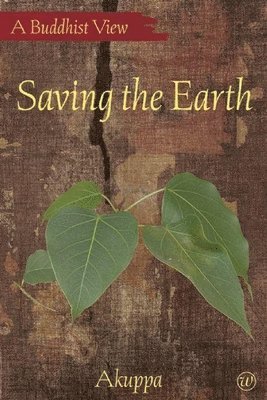 Saving the Earth 1