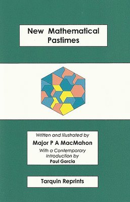 bokomslag New Mathematical Pastimes