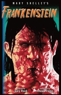 Frankenstein-The Graphic Novel 1