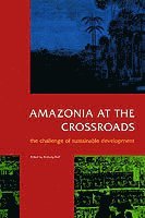 bokomslag Amazonia at the Crossroads