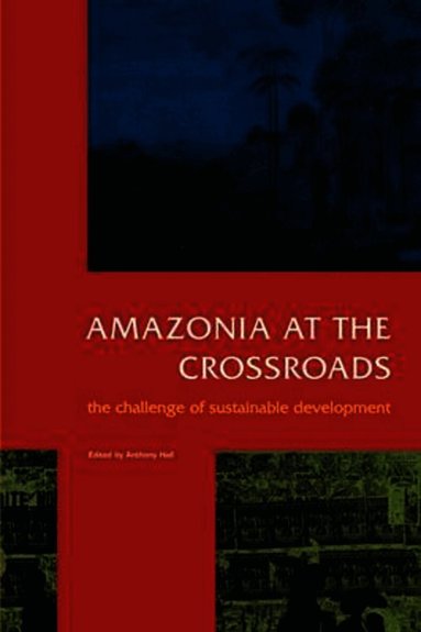 Anthony Hall - Amazonia at the Crossroads, Häftad