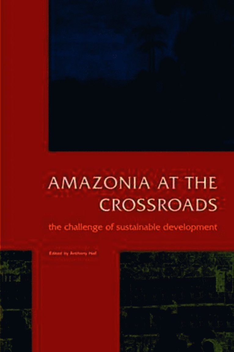 Anthony Hall - Amazonia at the Crossroads, Häftad