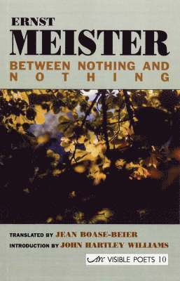 Between Nothing and Nothing 1