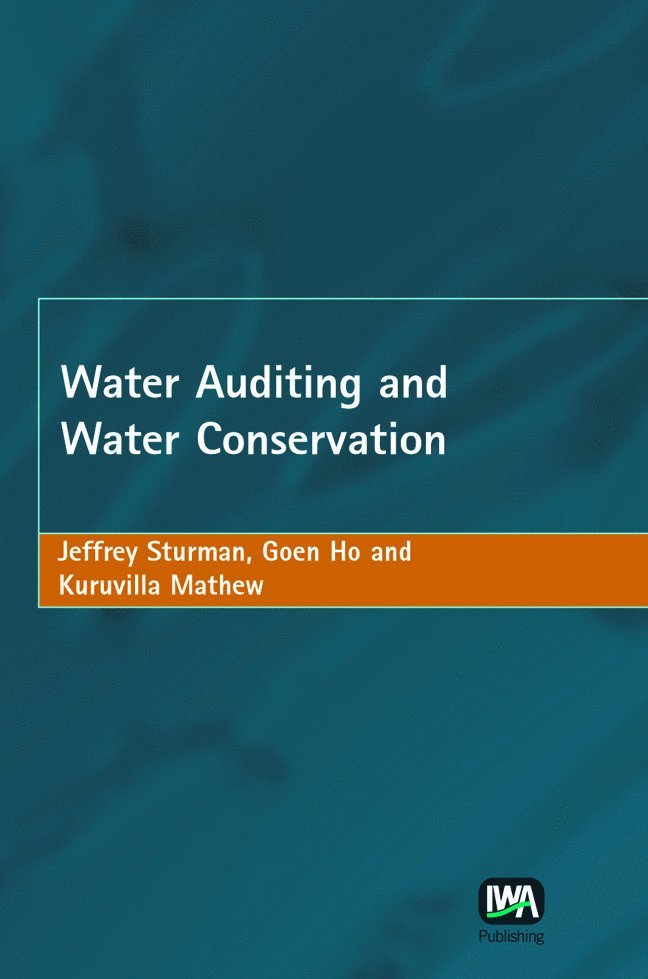 Jeff Sturman, Goen Ho, Kuruvilla Mathew - Water Auditing and Water Conservation, Inbunden
