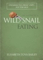 The Sound of a Wild Snail Eating 1