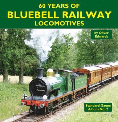 bokomslag 60 Years of Bluebell Railway Locomotives