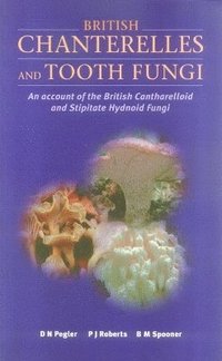 bokomslag British Chanterelles and Tooth Fungi