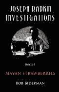 bokomslag Joseph Radkin Investigations - Book 5: Mayan Strawberries