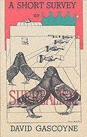 David Gascoyne - Short Survey of Surrealism, Häftad