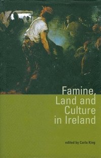 bokomslag Famine, Land and Culture in Ireland