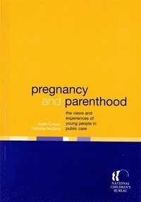 bokomslag Pregnancy and Parenthood