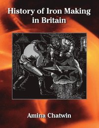 bokomslag History of Iron Making in Britain