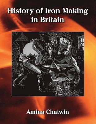 bokomslag History of Iron Making in Britain