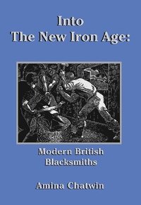 bokomslag Into The New Iron Age