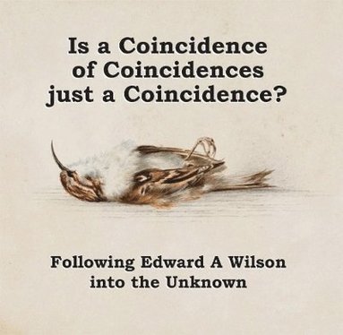 John Flux - Is a Coincidence of Coincidences just a Coincidence? Following Edward A Wilson into the Unknown, Inbunden