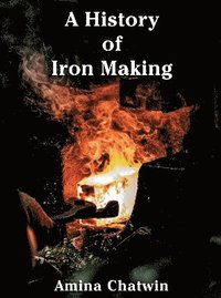 bokomslag History of Iron Making