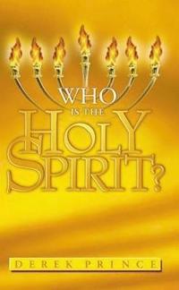 bokomslag Who is the Holy Spirit?