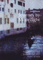 bokomslag Journey by Moonlight