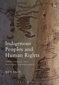 bokomslag Indigenous Peoples and Human Rights