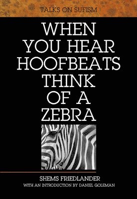 Shems Friedlander - When You Hear Hoofbeats Think of a Zebra, Häftad
