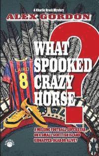 bokomslag What Spooked Crazy Horse?