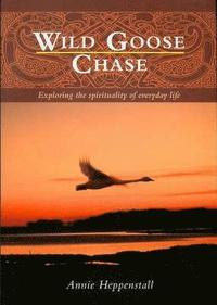 bokomslag Wild Goose Chase