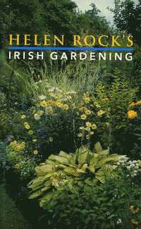 bokomslag Helen Rock's Irish Gardening