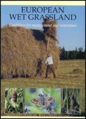 European Wet Grassland