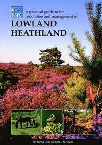 bokomslag A Practical Guide to the Restoration and Management of Lowland Heathland