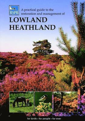 bokomslag Practical Guide to the Restoration and Management of Lowland Heathland