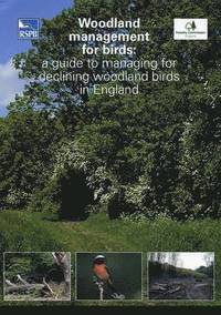 bokomslag Woodland Management for Birds