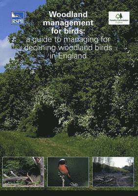 bokomslag Woodland Management for Birds