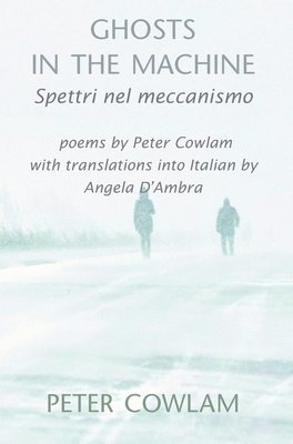 Peter Cowlam - Ghosts in the Machine, Inbunden