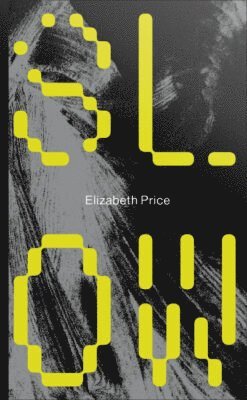 bokomslag Elizabeth Price