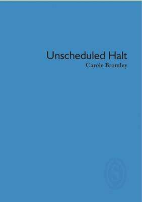 bokomslag Unscheduled Halt