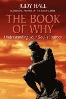 bokomslag The Book of Why