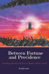 bokomslag Between Fortune and Providence