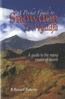 bokomslag A Pocket Guide to Snowdon