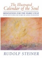 bokomslag Illustrated Calendar of the Soul