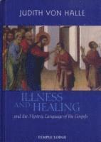 bokomslag Illness and Healing and the Mystery Language of the Gospels