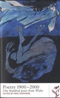 Meic Stephens - Poetry 1900-2000, Häftad
