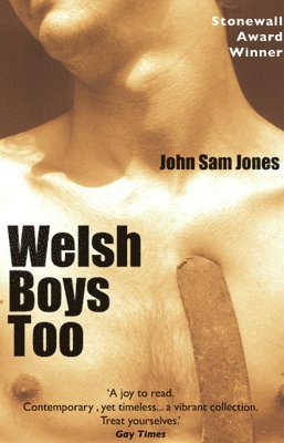 bokomslag Welsh Boys Too