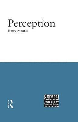 bokomslag Perception