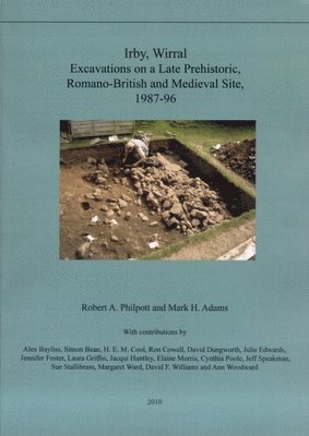 bokomslag Irby, Wirral: Excavations on a Late Prehistoric, Romano-British and Medieval Site, 1987-96
