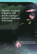 MESOLITHIC OCCUPATION AT BOULD