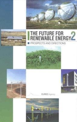 bokomslag Future for Renewable Energy 2
