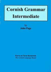 bokomslag Cornish Grammar - Intermediate