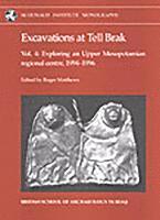 bokomslag Excavations at Tell Brak 4