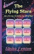 Discover The Flying Stars 1