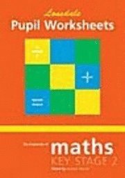 bokomslag Maths: Pupil Worksheets